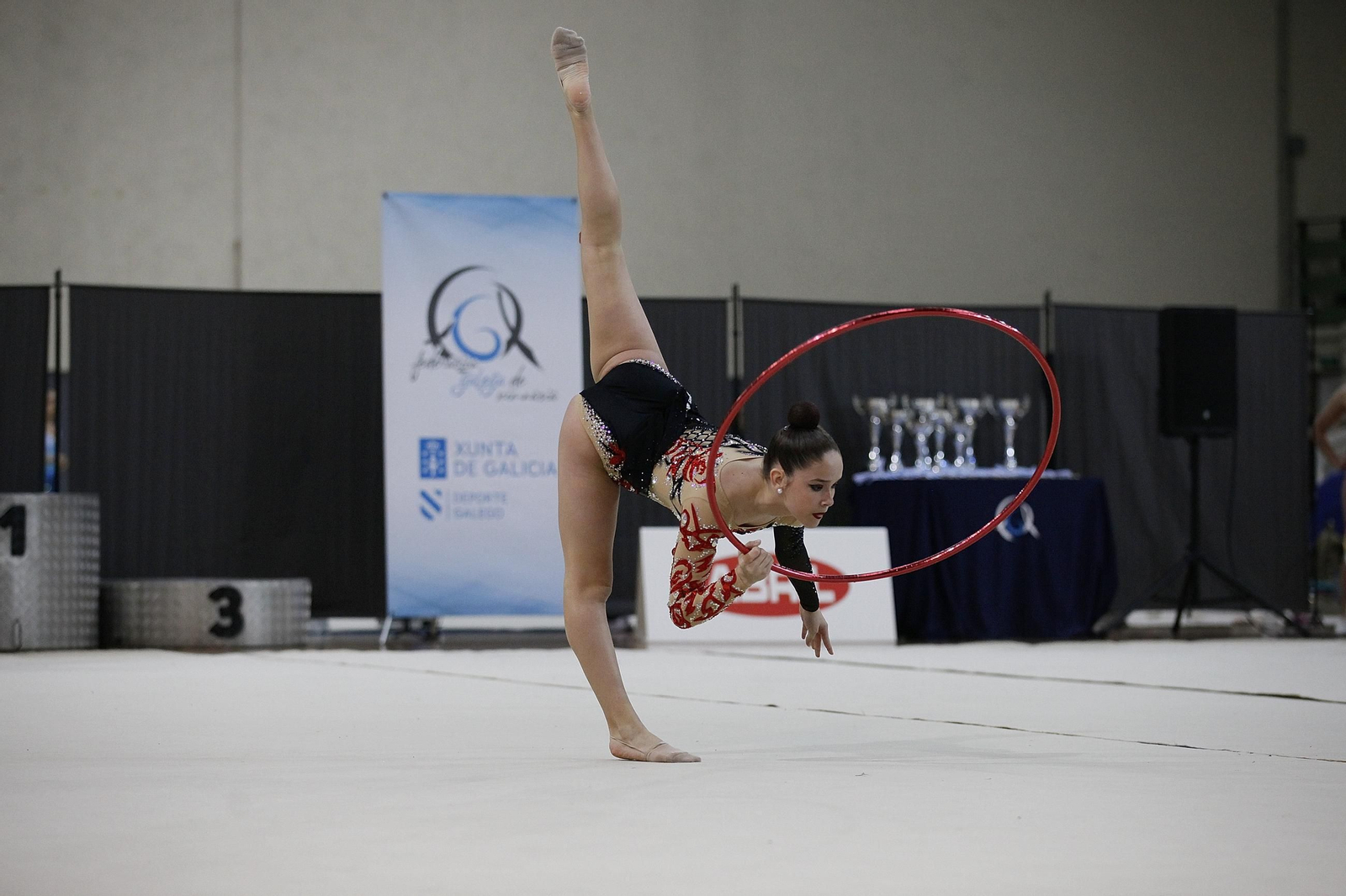 Cantidad y calidad en el Autonómico de gimnasia rítmica