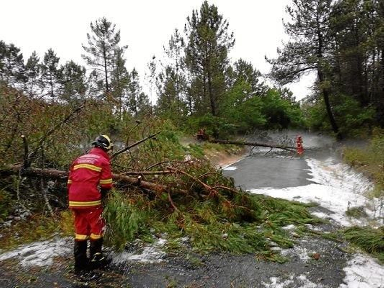 Dos bomberos de Carballiño retiran dos árboles que incomunicaron a un pueblo de Cea.