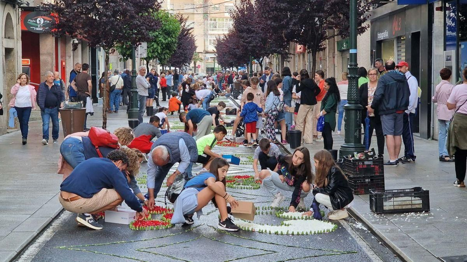 Confeccionando ayer en las calles las alfombras florales por donde pasará el Corpus hoy.