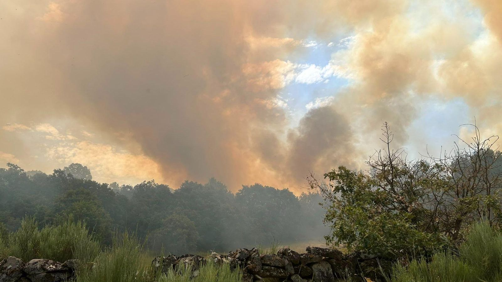 El incendio forestal procedente de Portugal que cruzó la frontera y alcanza ya la zona de Manzalvos, en A Mezquita con más de 20 hectáreas arrasadas.