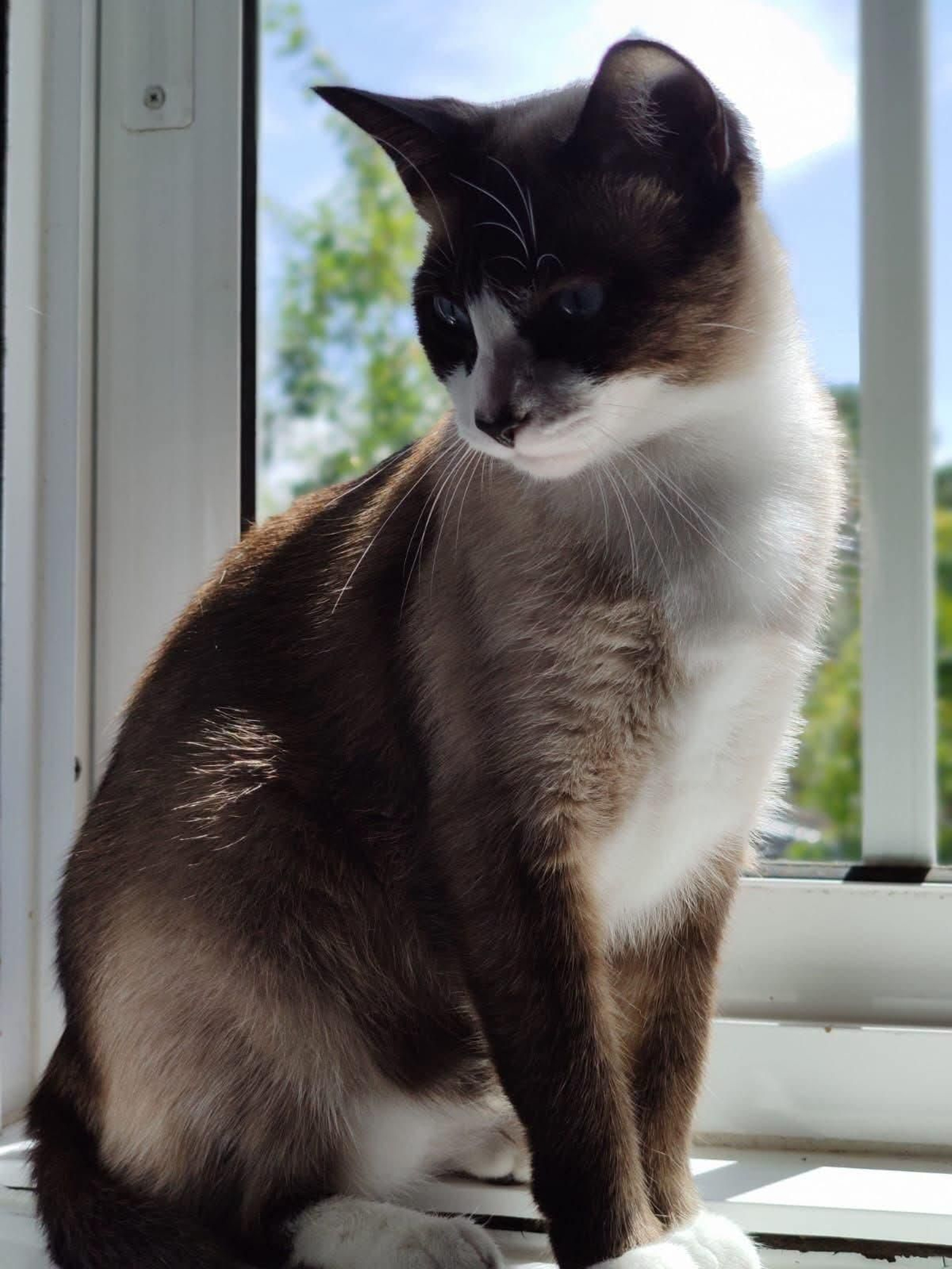 Nina