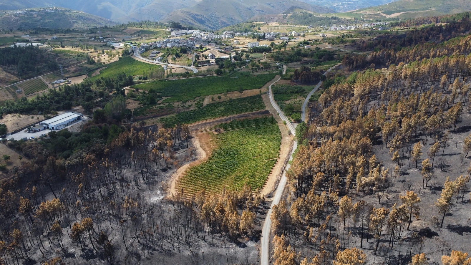 entre larouco y a caseta.JPG