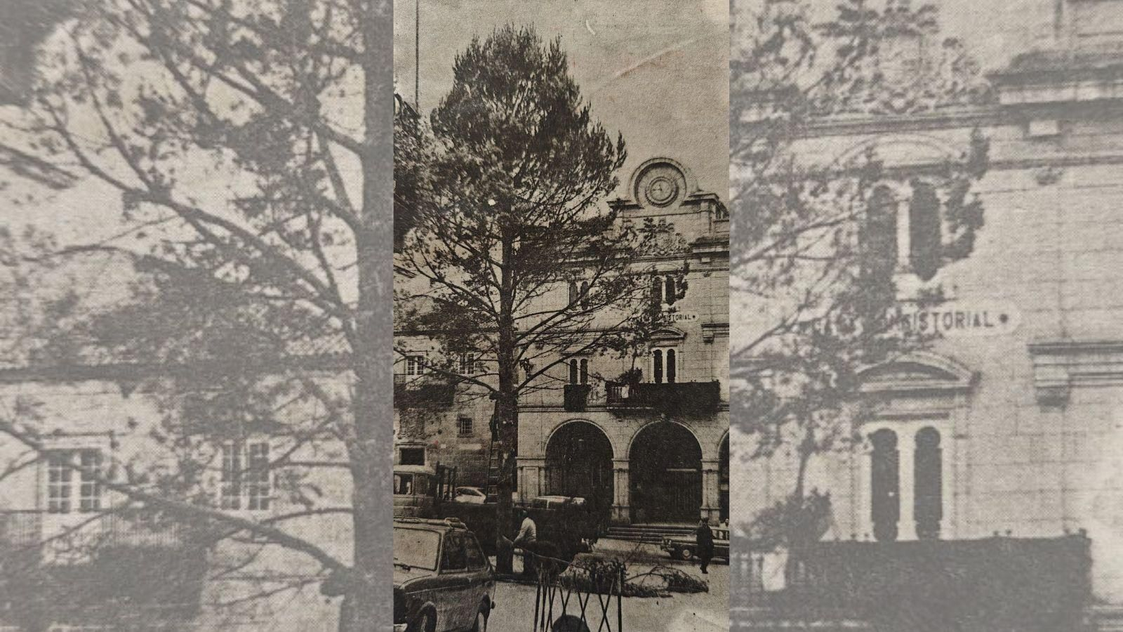 Colocación del árbol de Navidad.