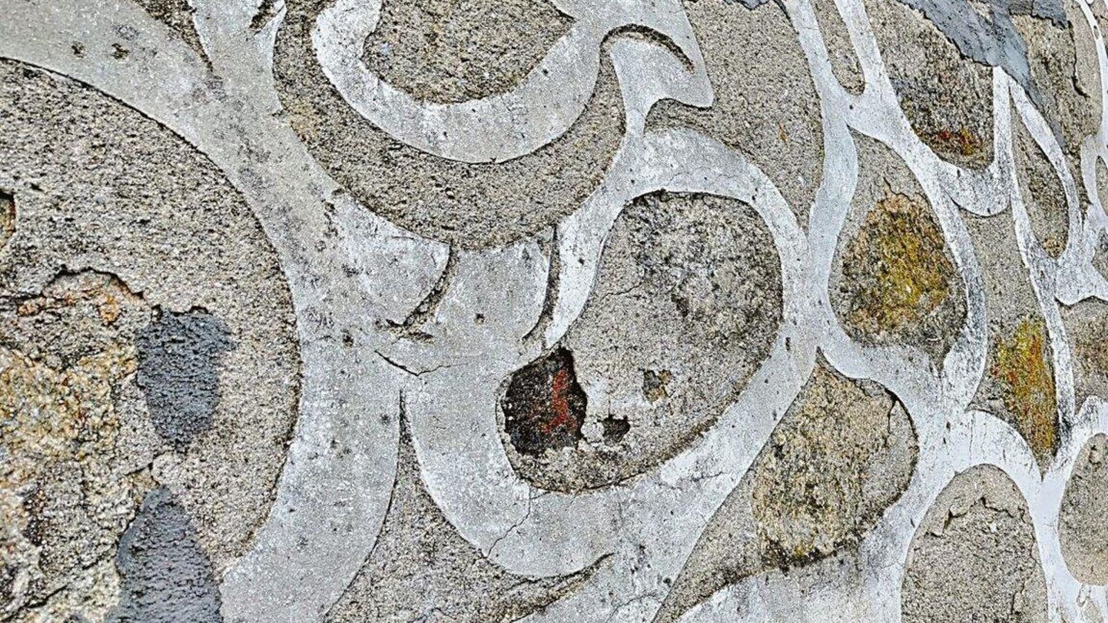 “Galo da Mezquita” en San Vitoiro, Allariz (NÓVOA)