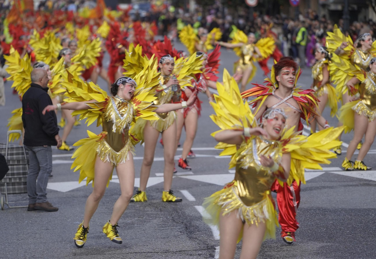 Galería | El desfile de comparsas del Entroido 2026 ilumina las calles de Vigo