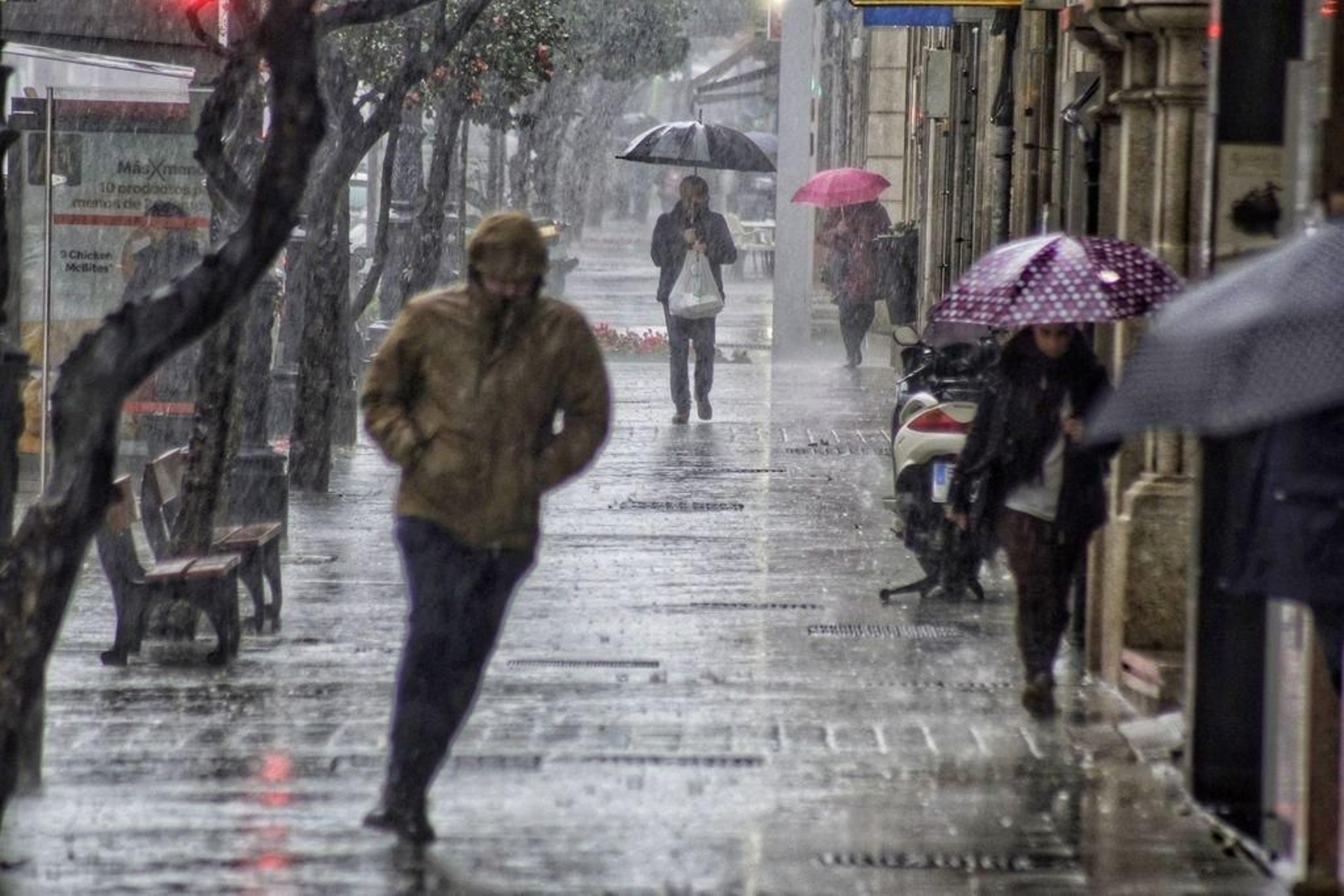 En el centro se recogieron 40 litros y 80 en el campus. En Eiras fueron casi 100 litros los recogidos.