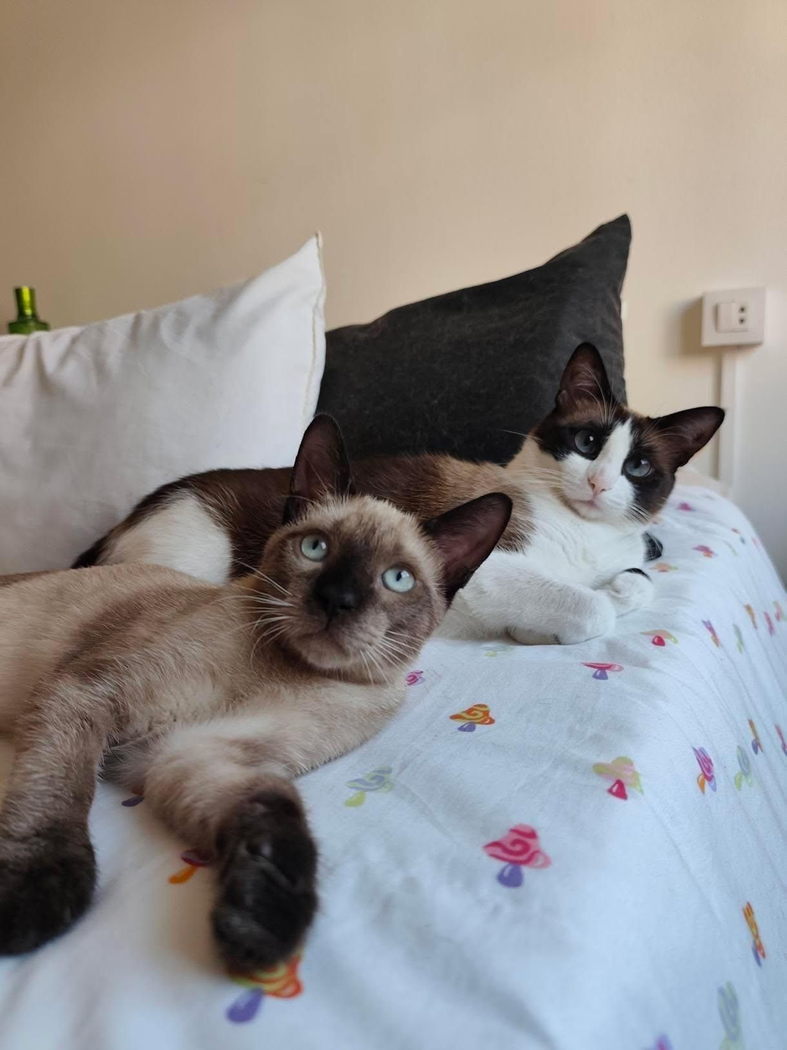 Iñaki y Pimienta