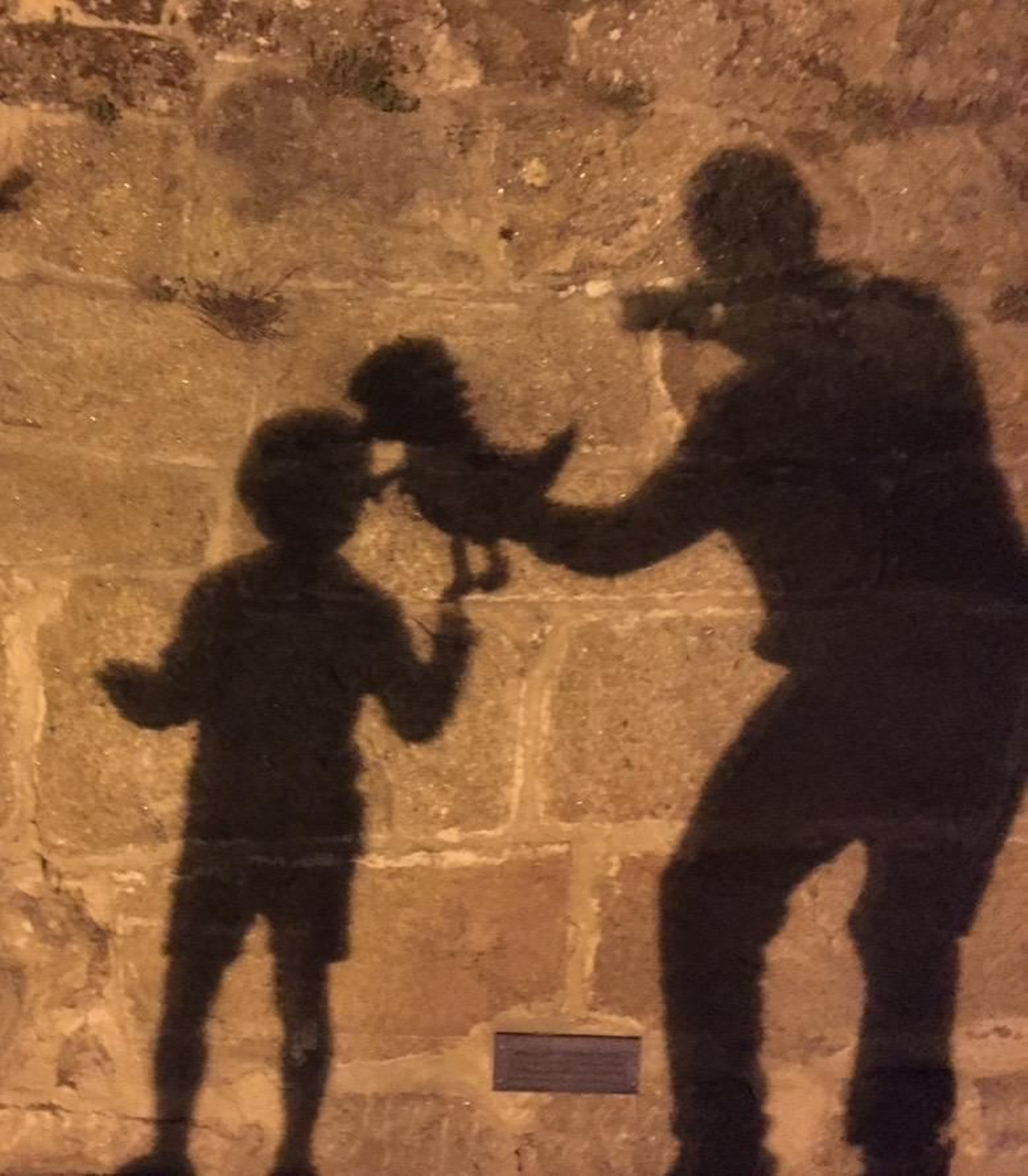 El gran rex y el pequeño rex.