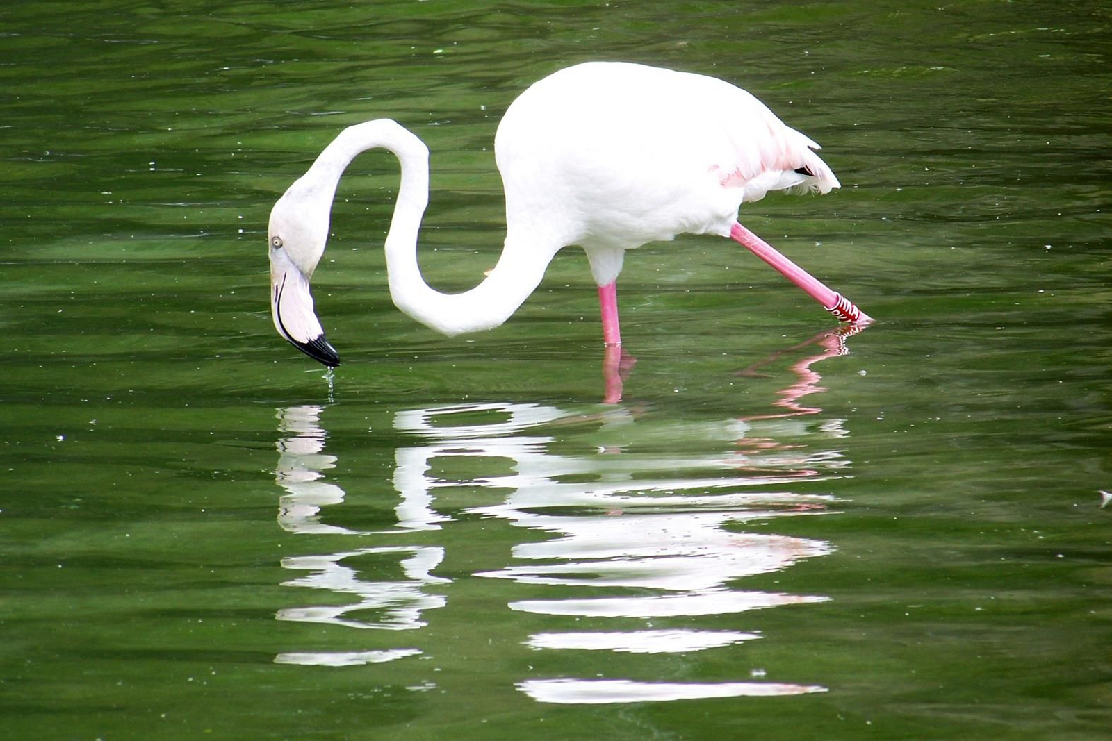 Mónica Méndez Vázquez