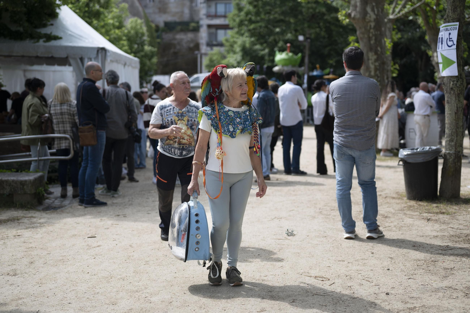 Ambiente festivo, brindis y degustaciones en el recinto de la Alameda de Ribadavia durante la celebración de la 63ª Feira do Viño do Ribeiro