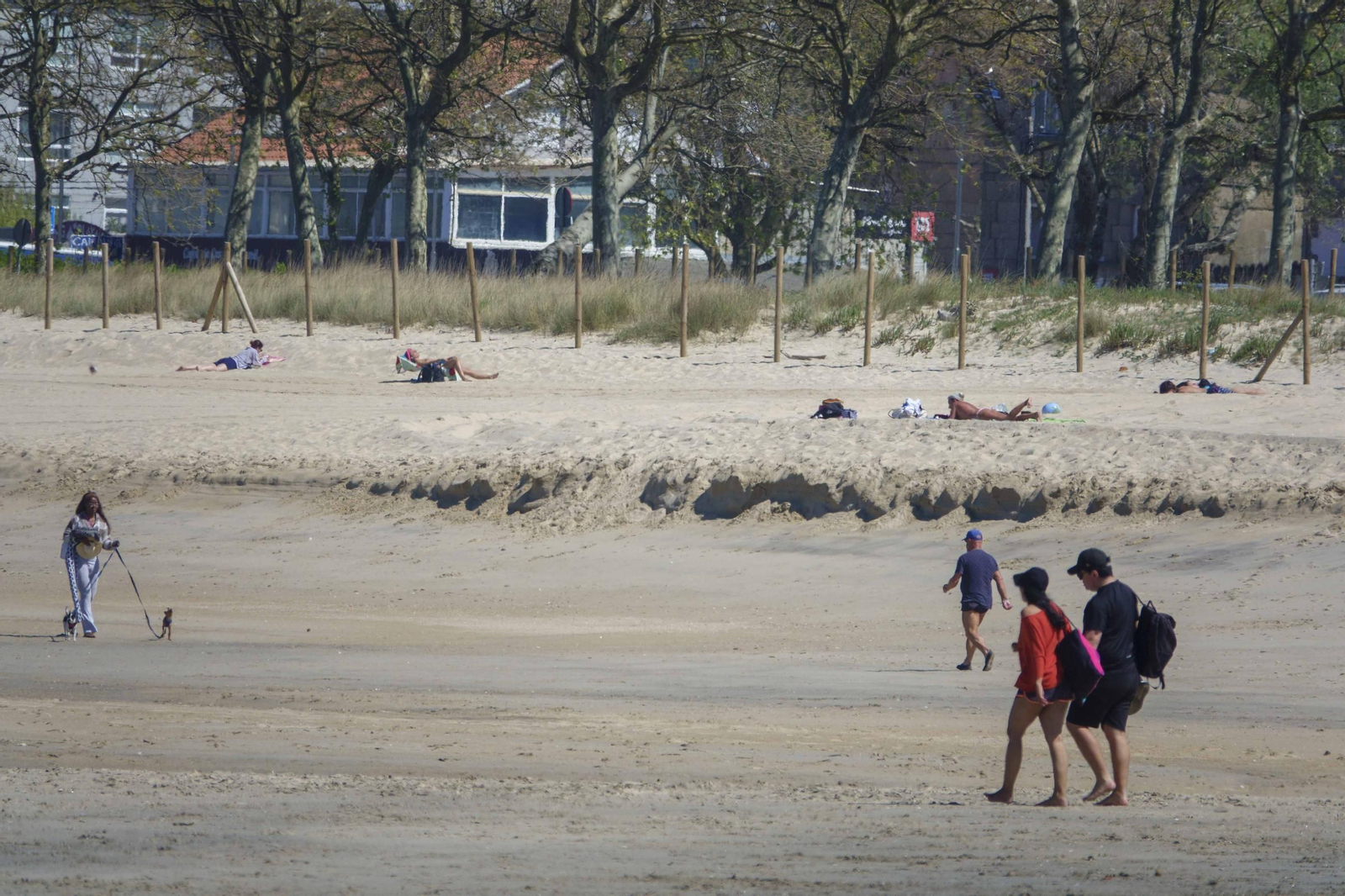La duna de Samil creció más de un metro en algunos puntos respecto a 2022.