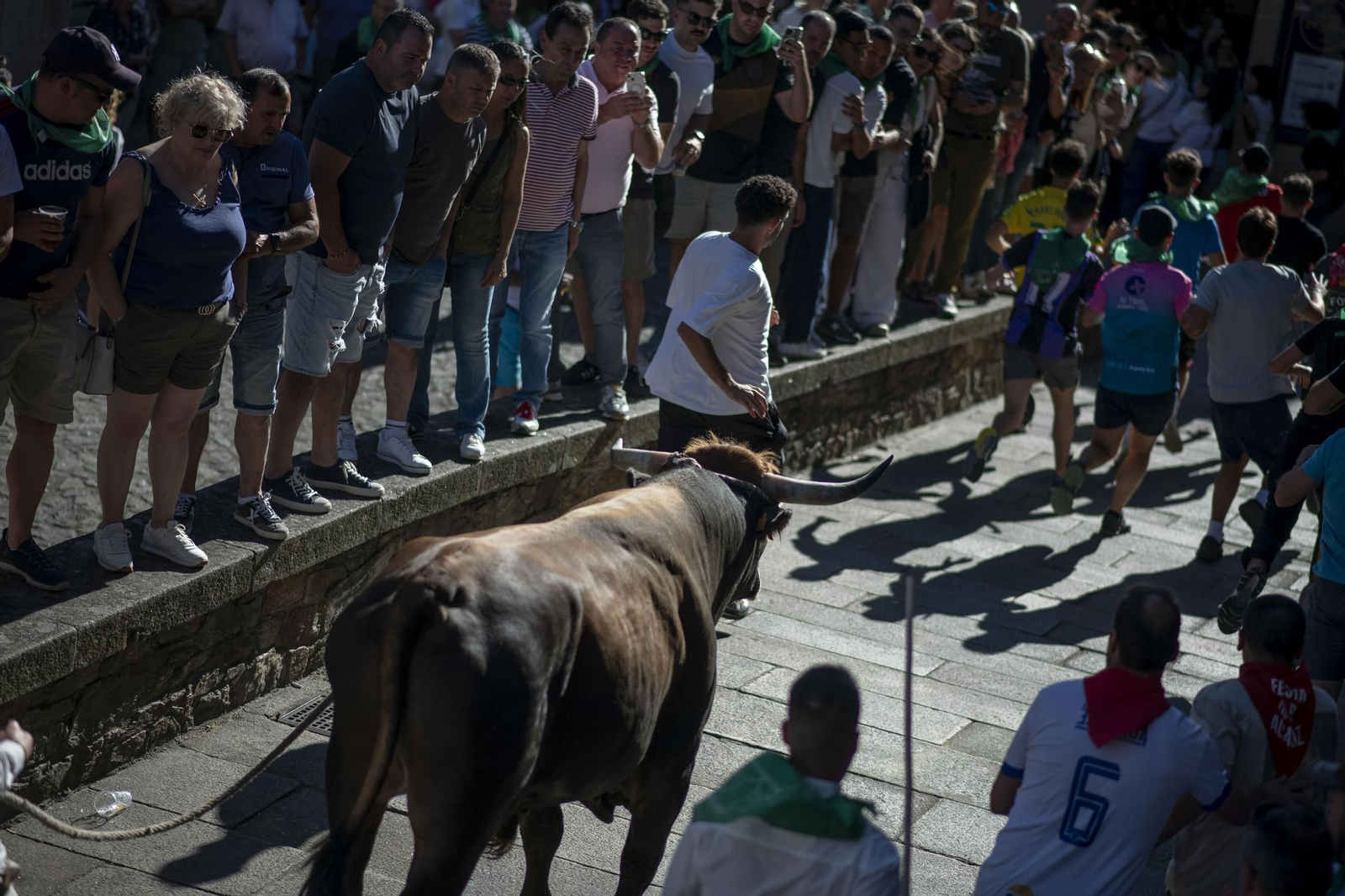 Galería | Allariz desfruta a Festa do Boi con paixón e fervor ata o último suspiro