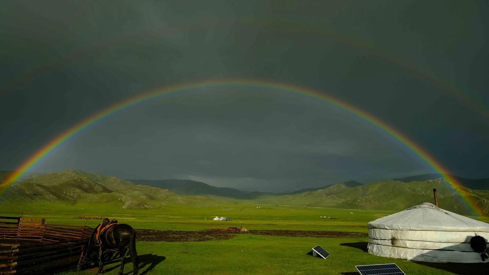 Imágenes finalistas del concurso de fotografía de naturaleza de Stanford