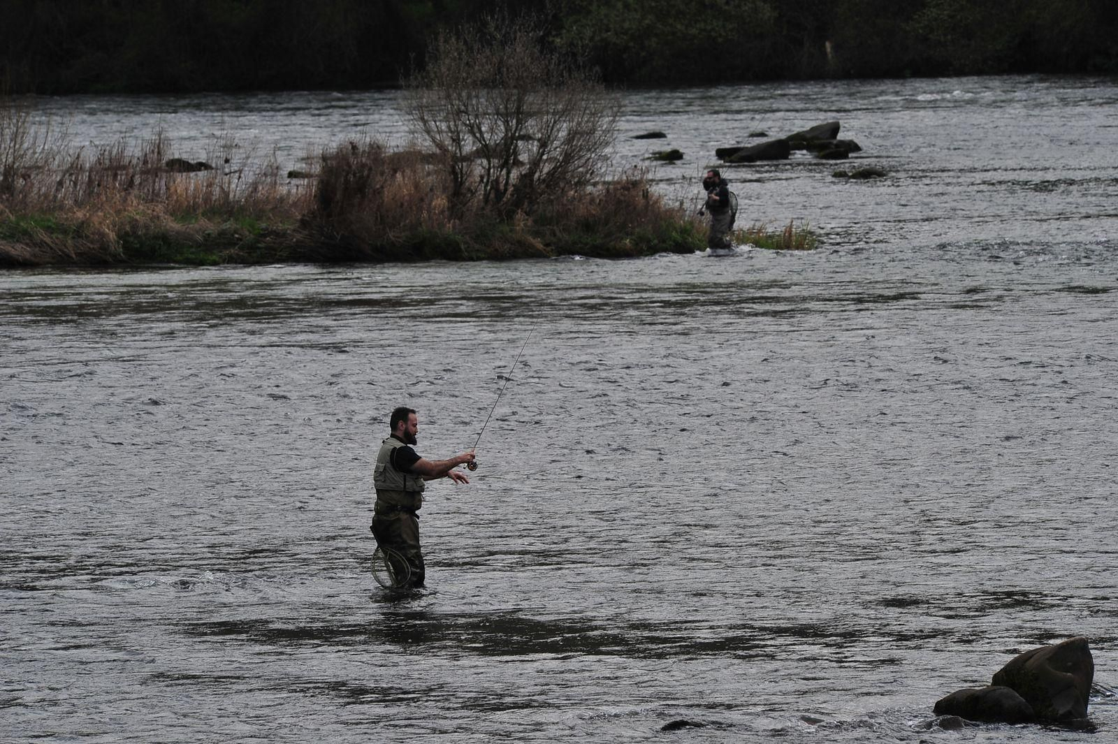 Primera jornada de pesca fluvial en el Miño (JOSÉ PAZ)