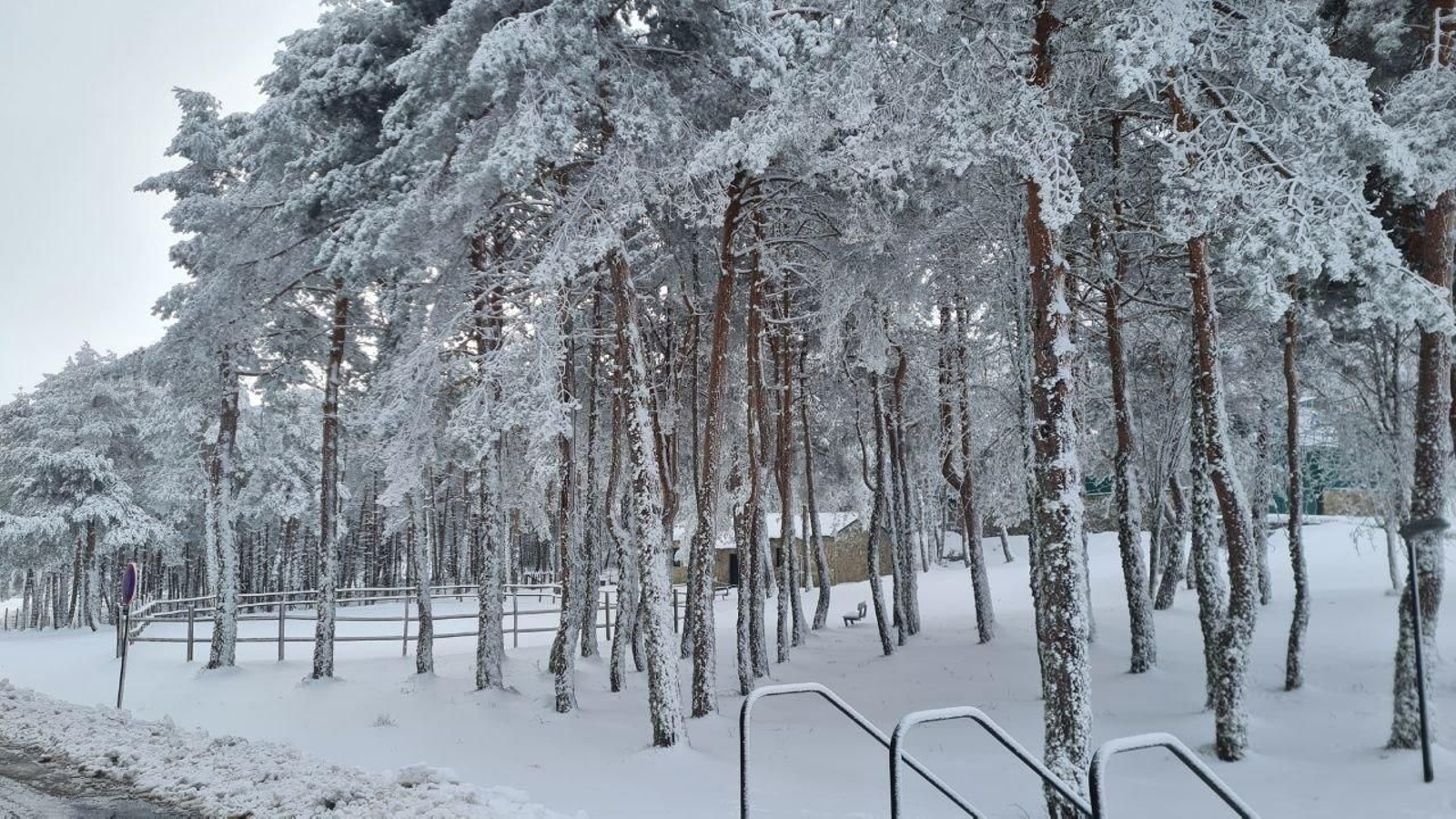 Estampas ahora sí propias del invierno.