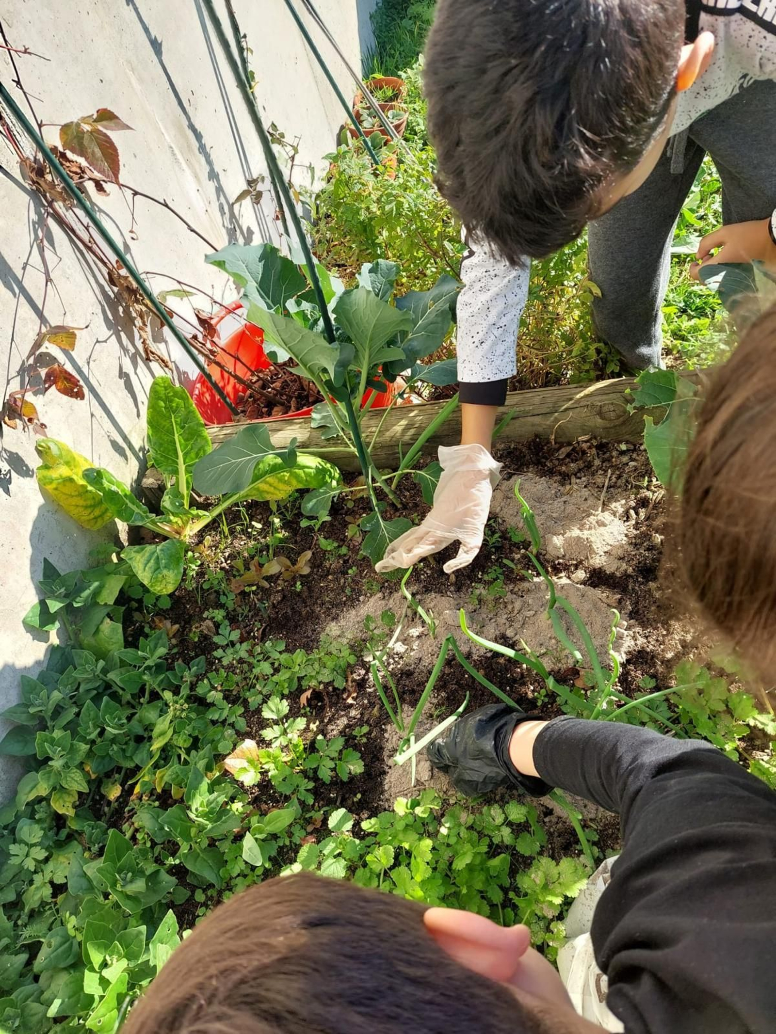 A natureza como mestra no Ruxidoiro