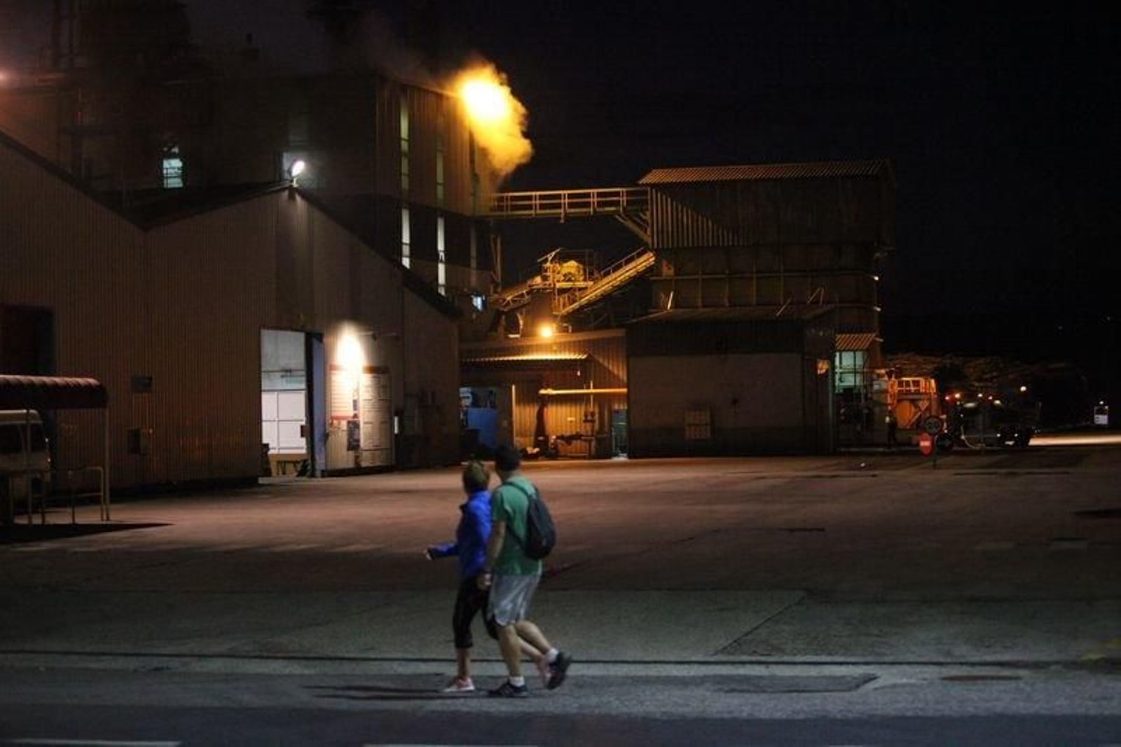 pazimg_8017_010_result