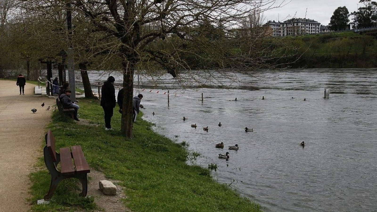 El río Miño, ayer muy cerca del paseo ante la crecida del caudal (foto: Miguel Ángel).