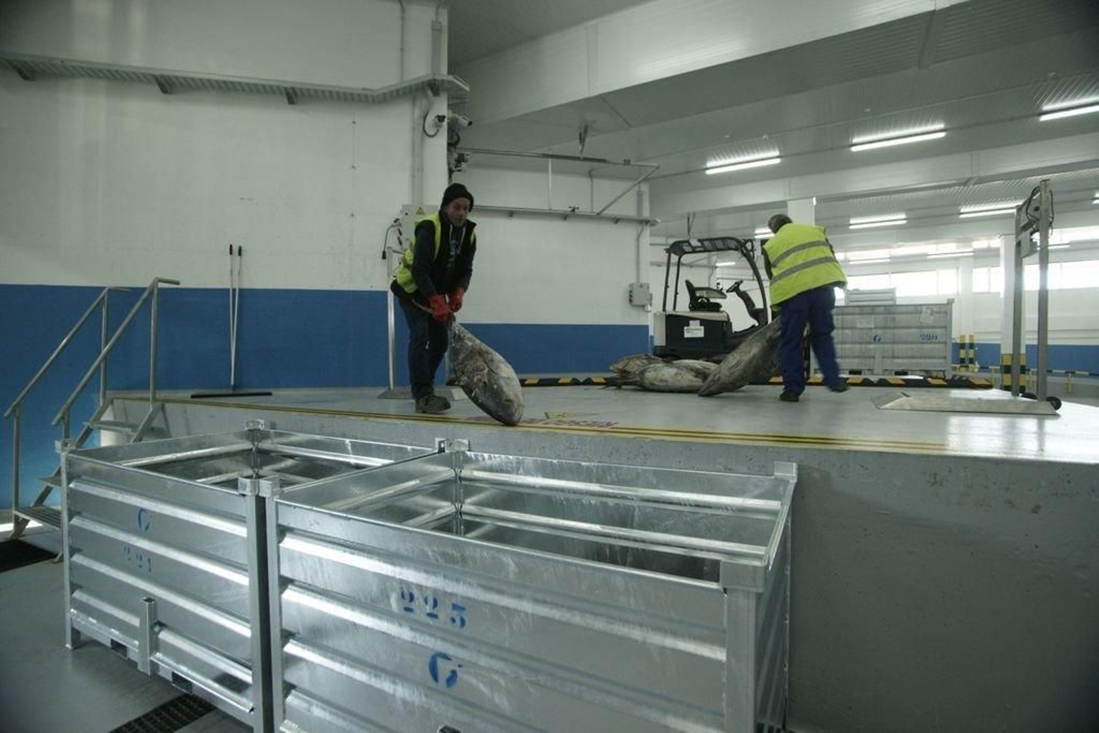 La industria del atún da trabajo directo a 500 personas solo en Galicia.