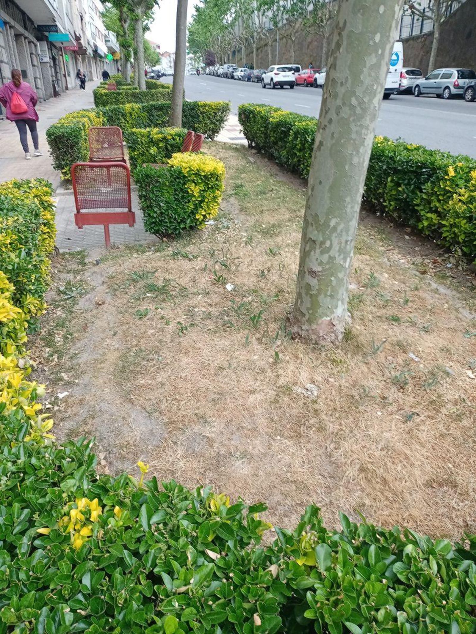 Jardines abandonados.