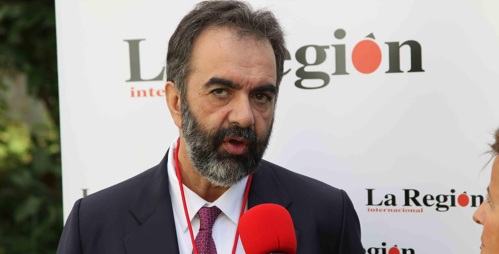 Eduardo Pahino Torres, Consejero por la República Dominicana