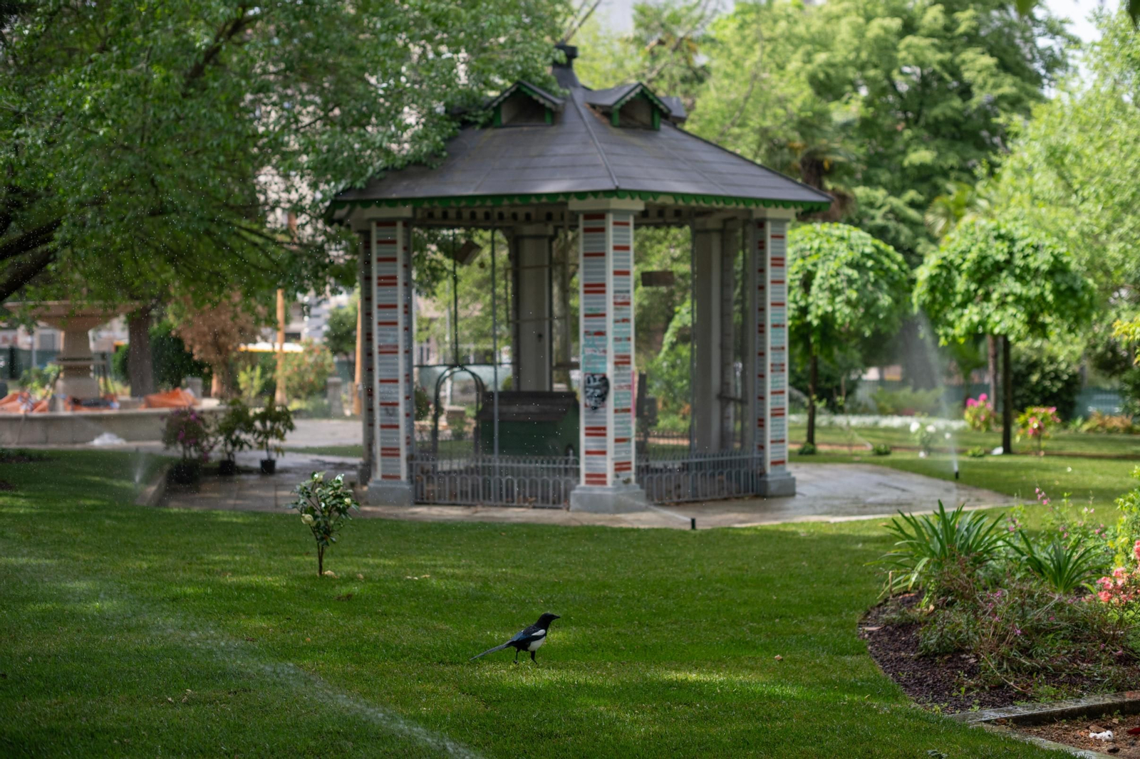 Galería | Así se encuentra el Jardín del Posío en Ourense, en imágenes
