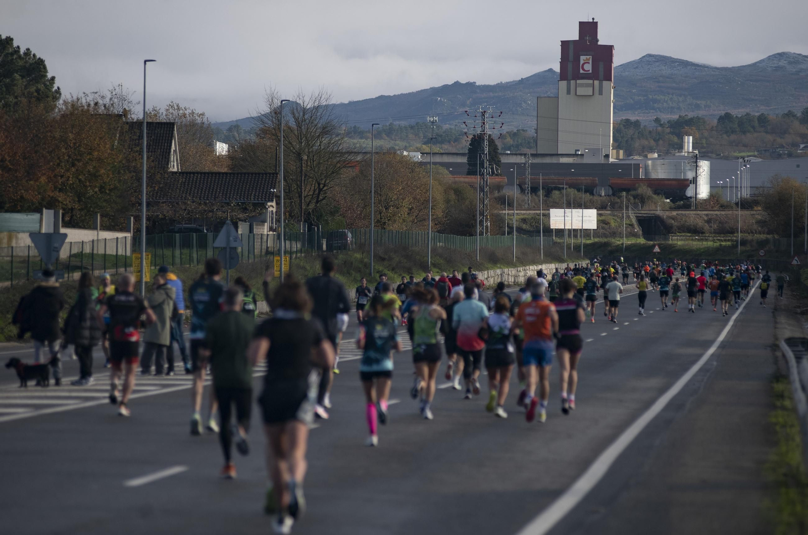 Galería | San Cibrao celebra una edición más de su carrera navideña