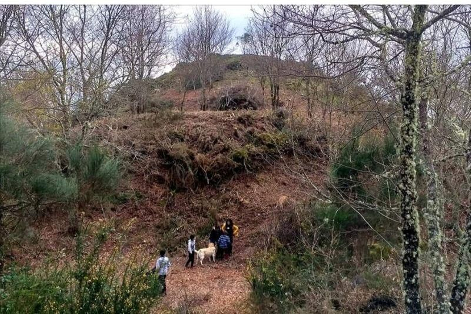 Castro de San Adrao, en la parroquia de Cabaleiros.