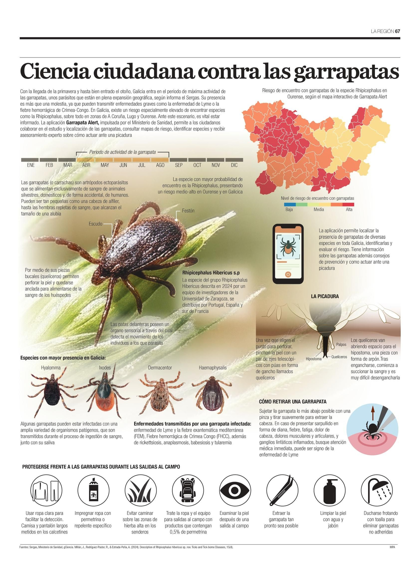 La infografía