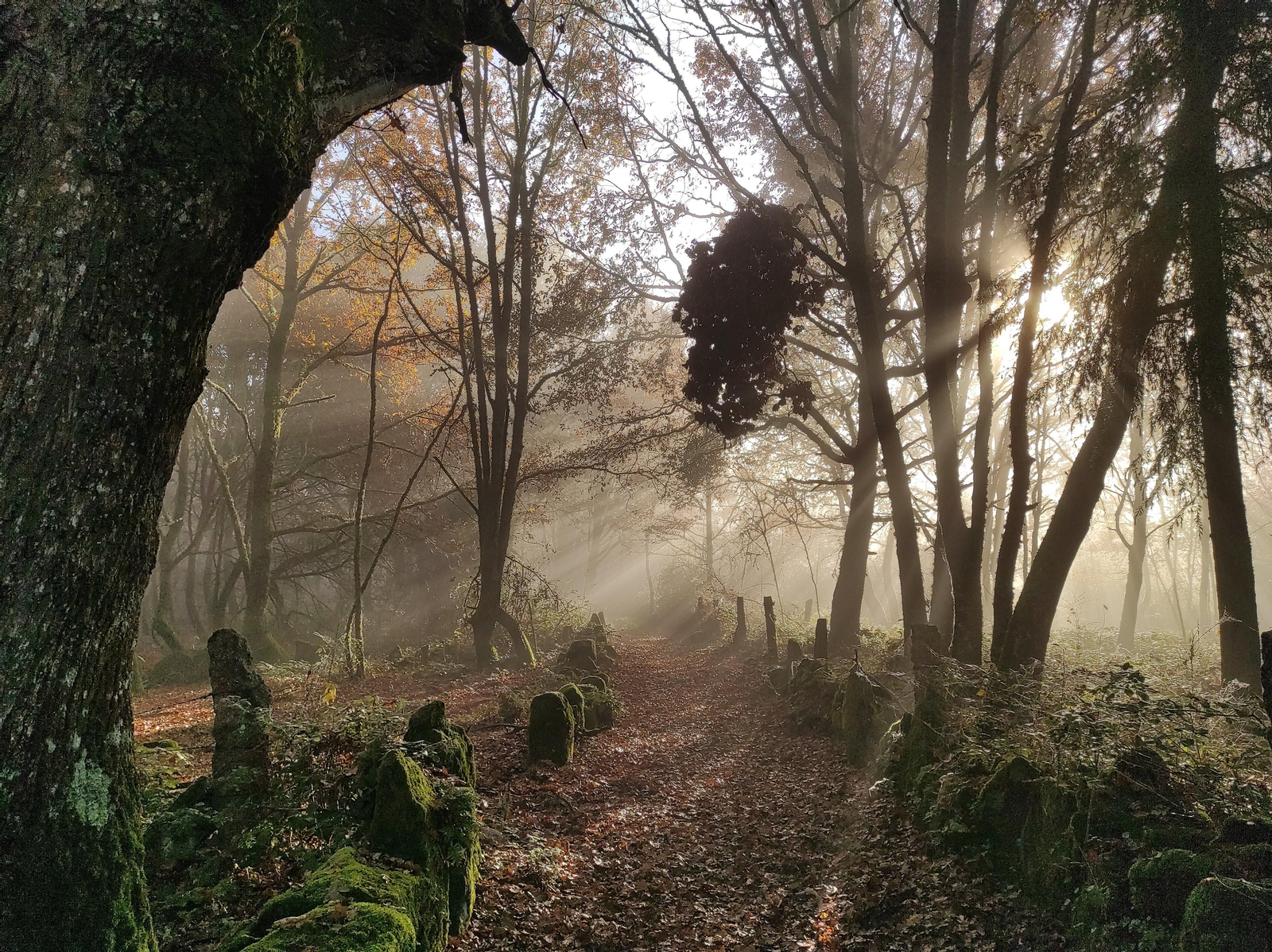 Senderismo en Pereiro de Aguiar