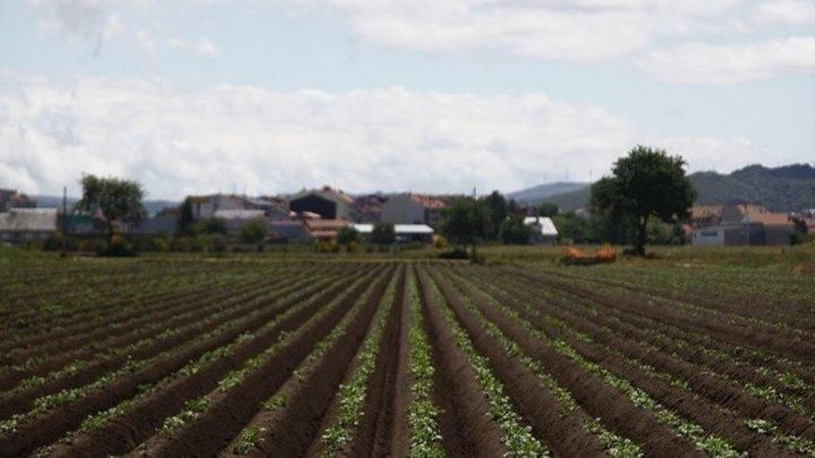 Imagen de un campo en Ourense.