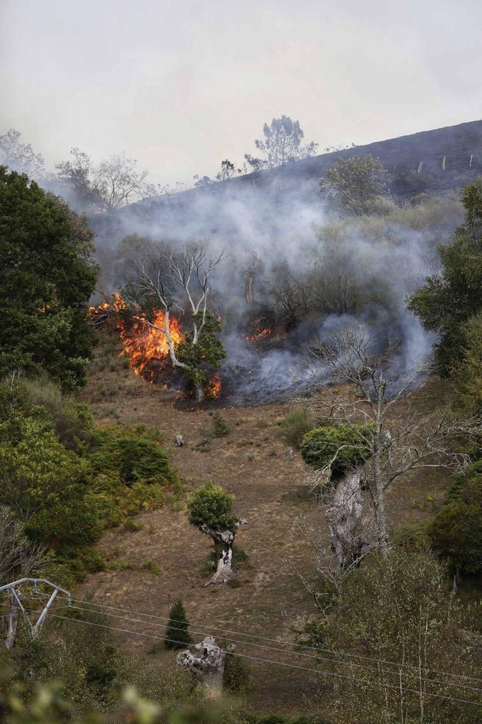 Incendio en Rebordechao, Vilar de Barrio. (Foto: Xesús Fariñas)