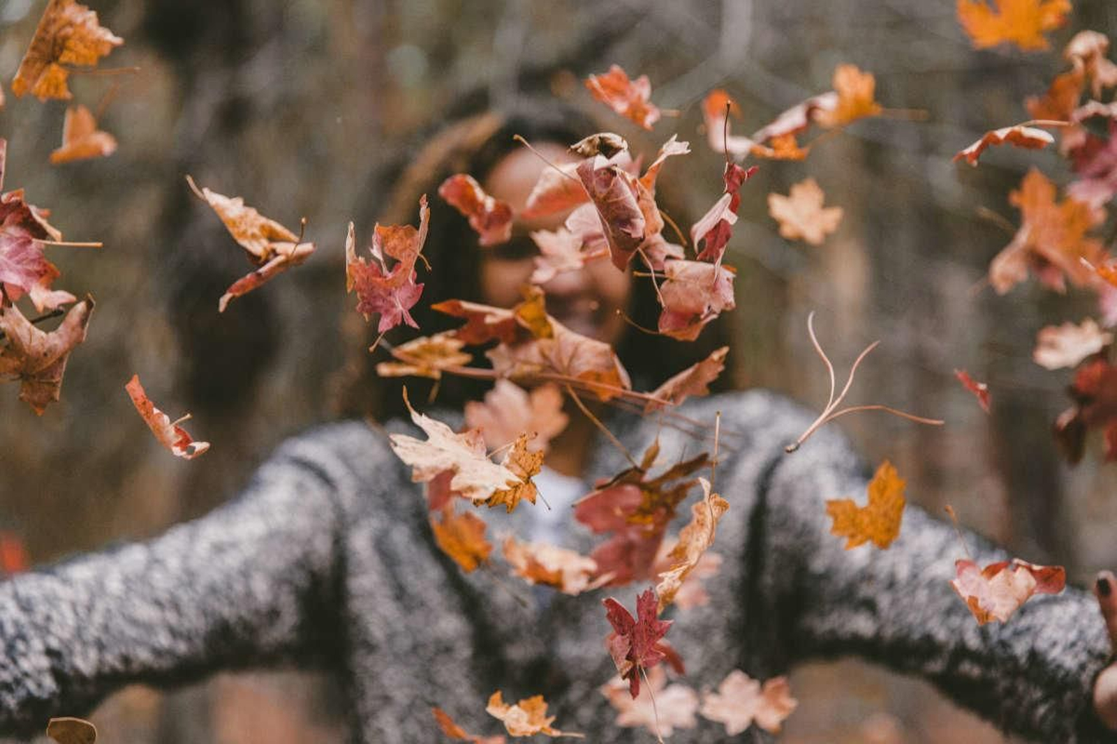 El otoño es una época ideal para disfrutar con los tuyos. (Foto: Unsplash)