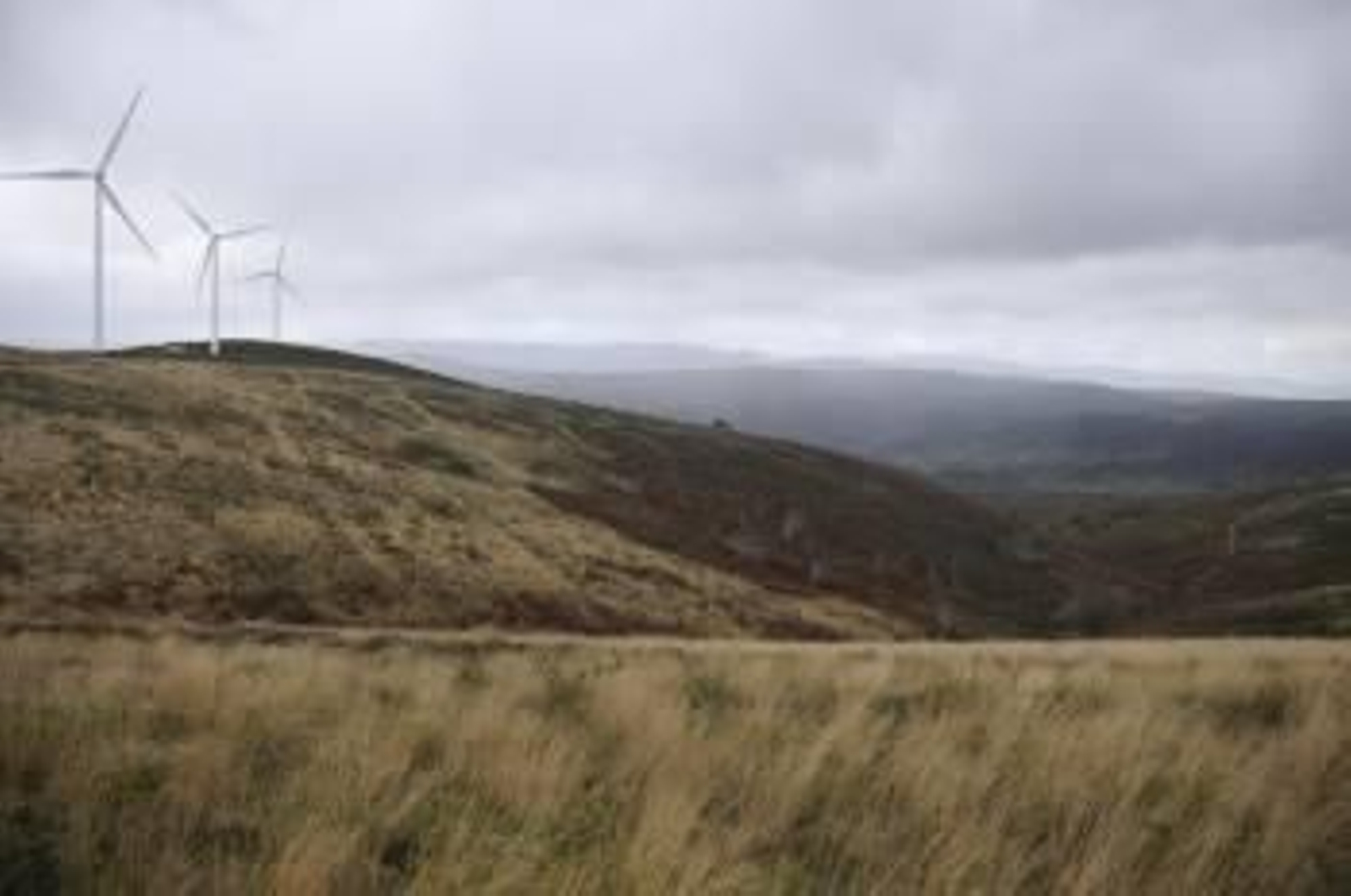 La planta se ubicará muy próxima al parque eólico, en los límites con Piñor. (Foto: MARTIÑO PINAL)