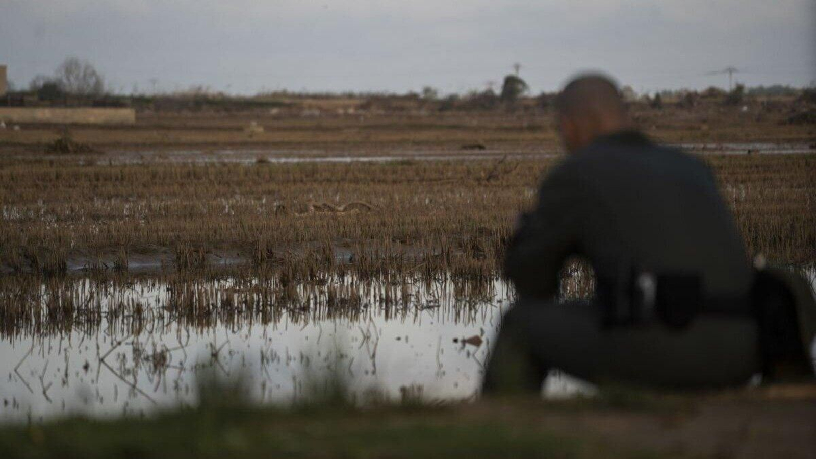 Un agente de la Guardia Civil observa la Albufera tras el paso de la dana. | Foto: Alejandro Fernández