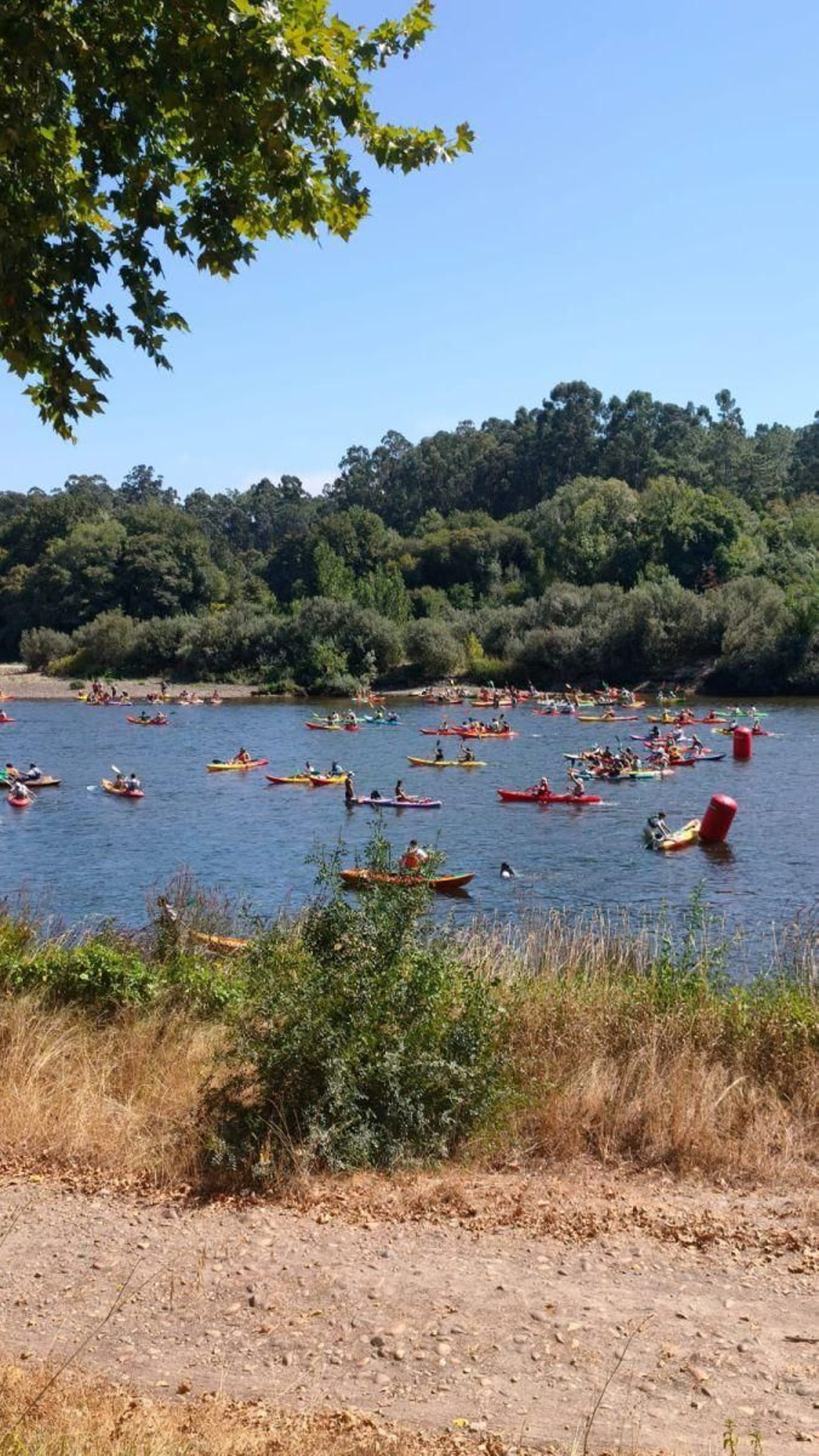 Un grupo de embarcaciones surca el río Miño, que ayer se lleno de familias y actividades lúdicas de todo tipo durante el Descenso Popular.