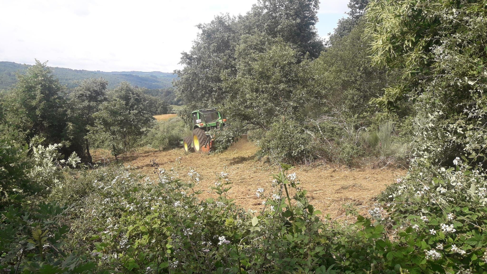 Aldea modelo Pedroso (Riós) (3)_resultado