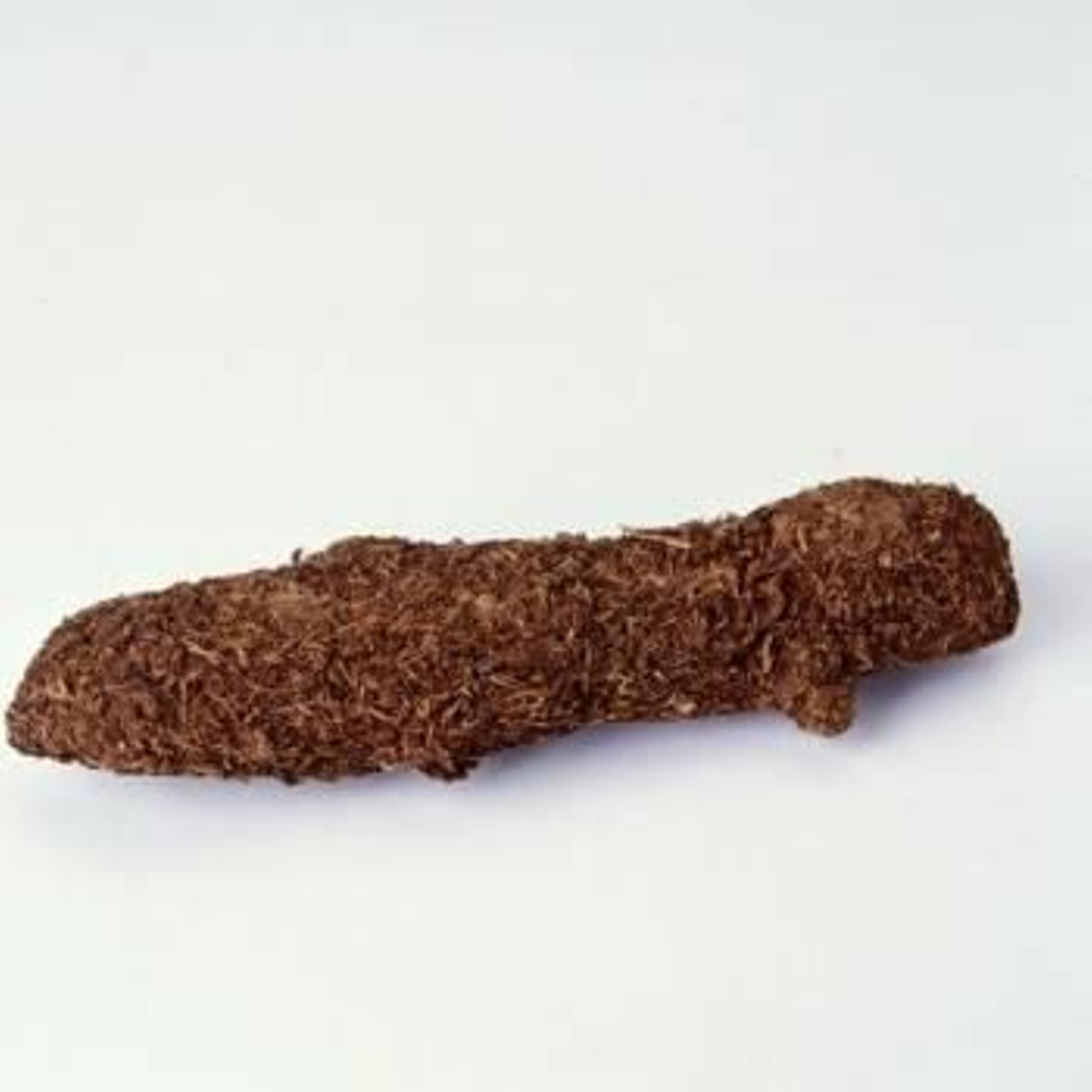 También aparecen las gafas con pastilla de cianuro en la patilla o el transmisor con forma (y aspecto) de zurullo