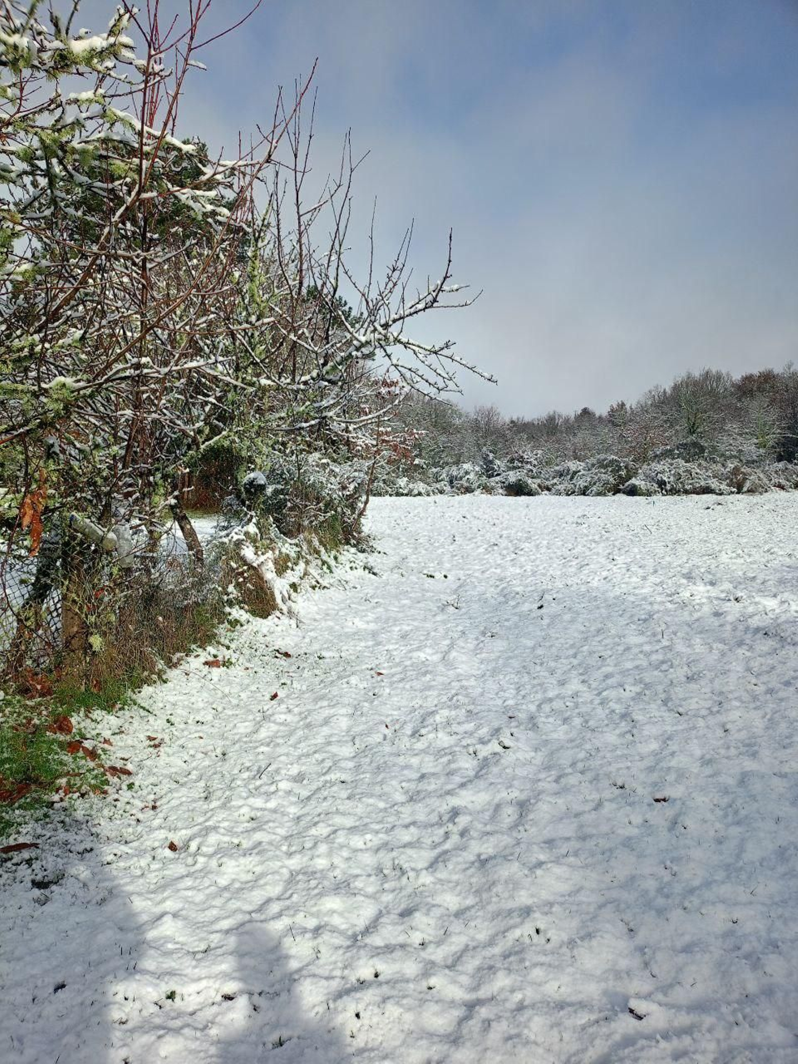 Galería | La nieve da la bienvenida al invierno en A Cañiza