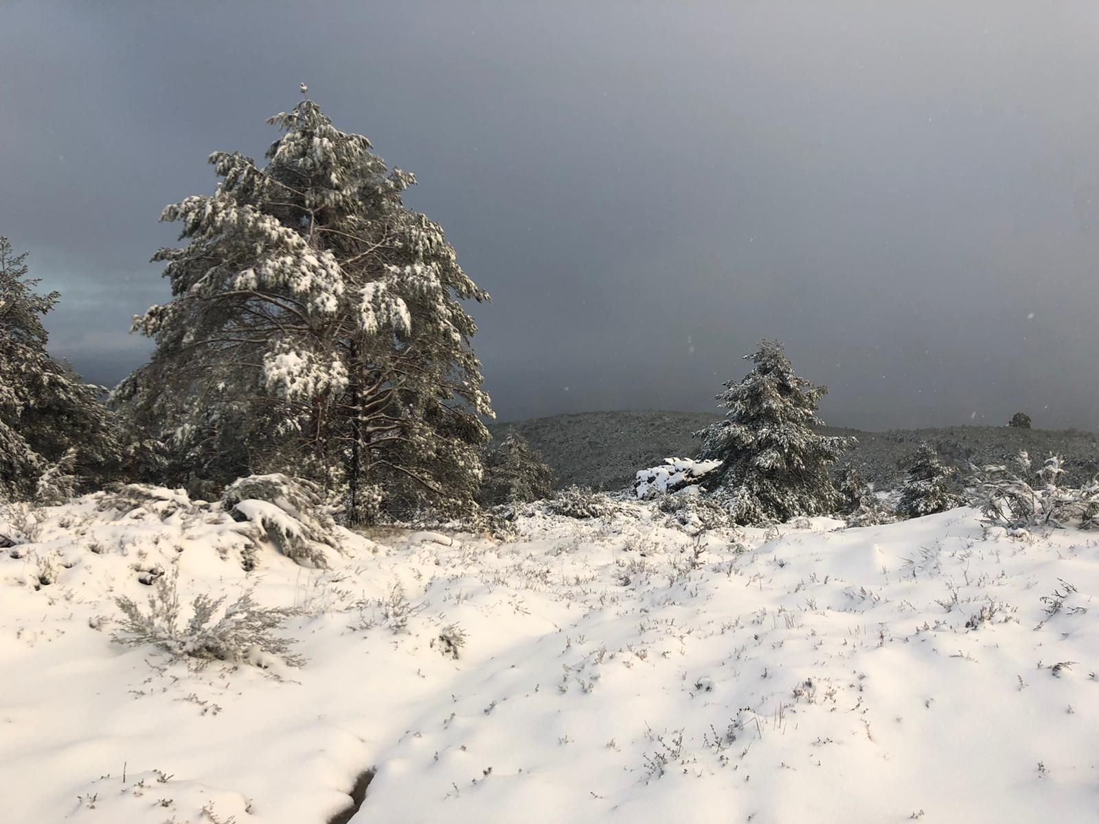 La nieve cubrió de blanco el Alto do Foxo