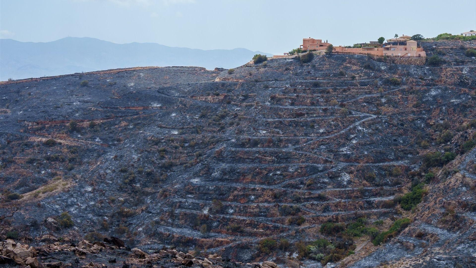 Imagen de la zona afectada por el paso del incendio de Los Gallardos. A 11 de julio de 2026 en Almería (Andalucía, España).