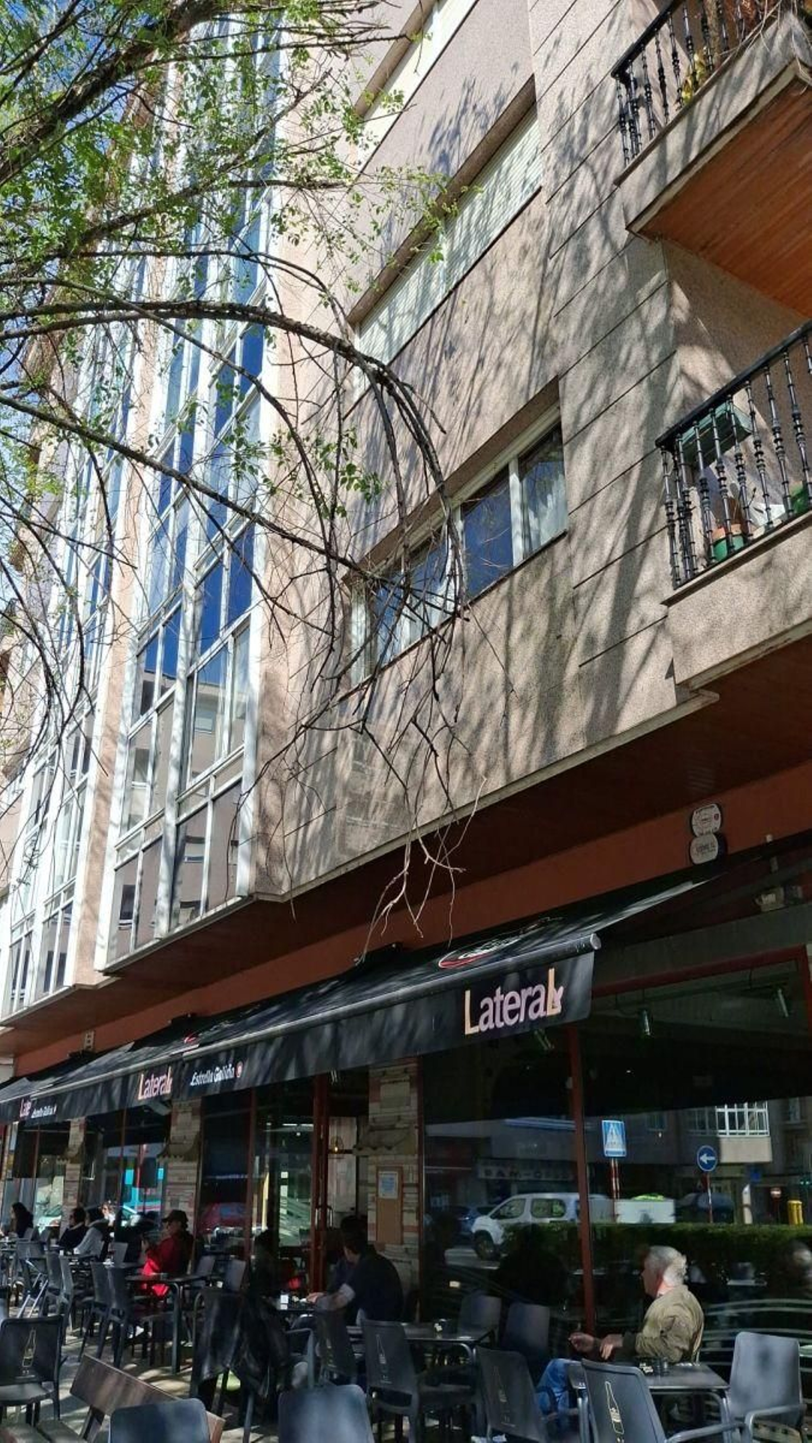 Árboles sin mantenimiento