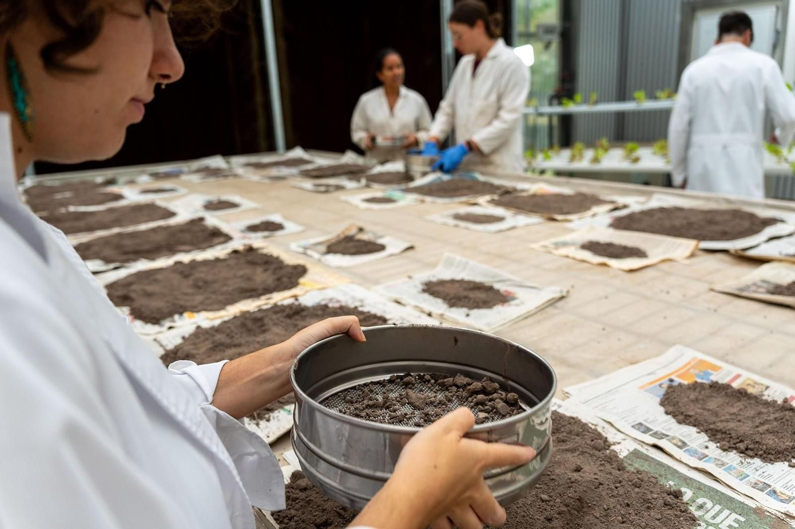 Uno de los proyectos de investigación que se llevan acabo en el Campus.