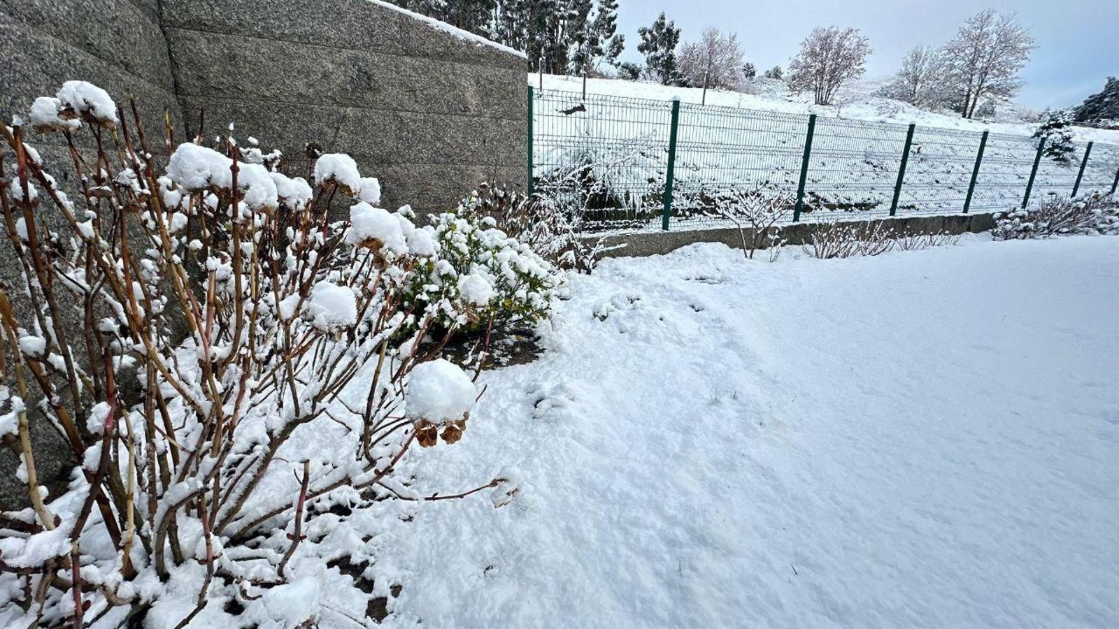 Galería | La nieve da la bienvenida al invierno en A Cañiza