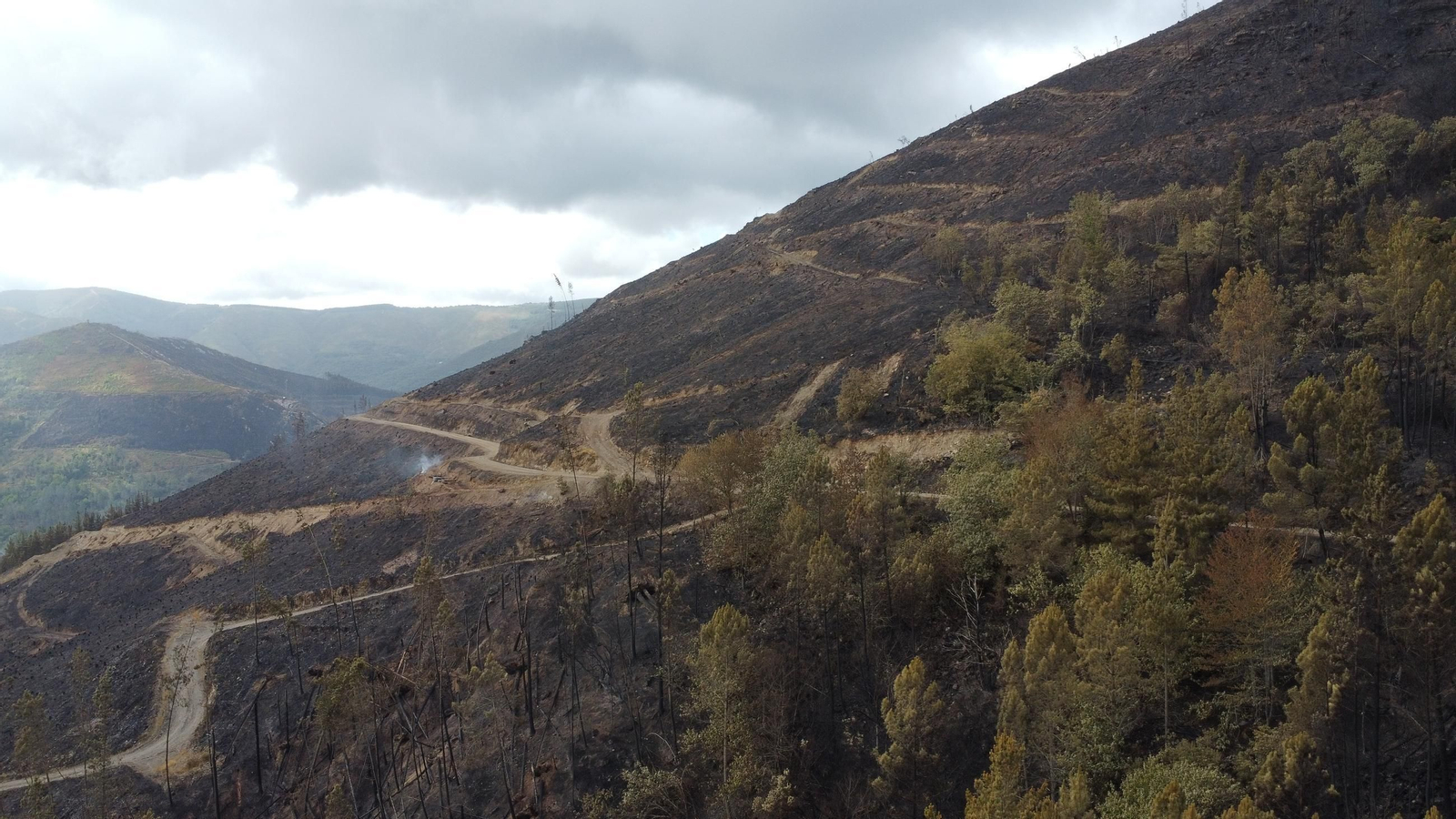 entre freixeiro y san pedro 2.JPG