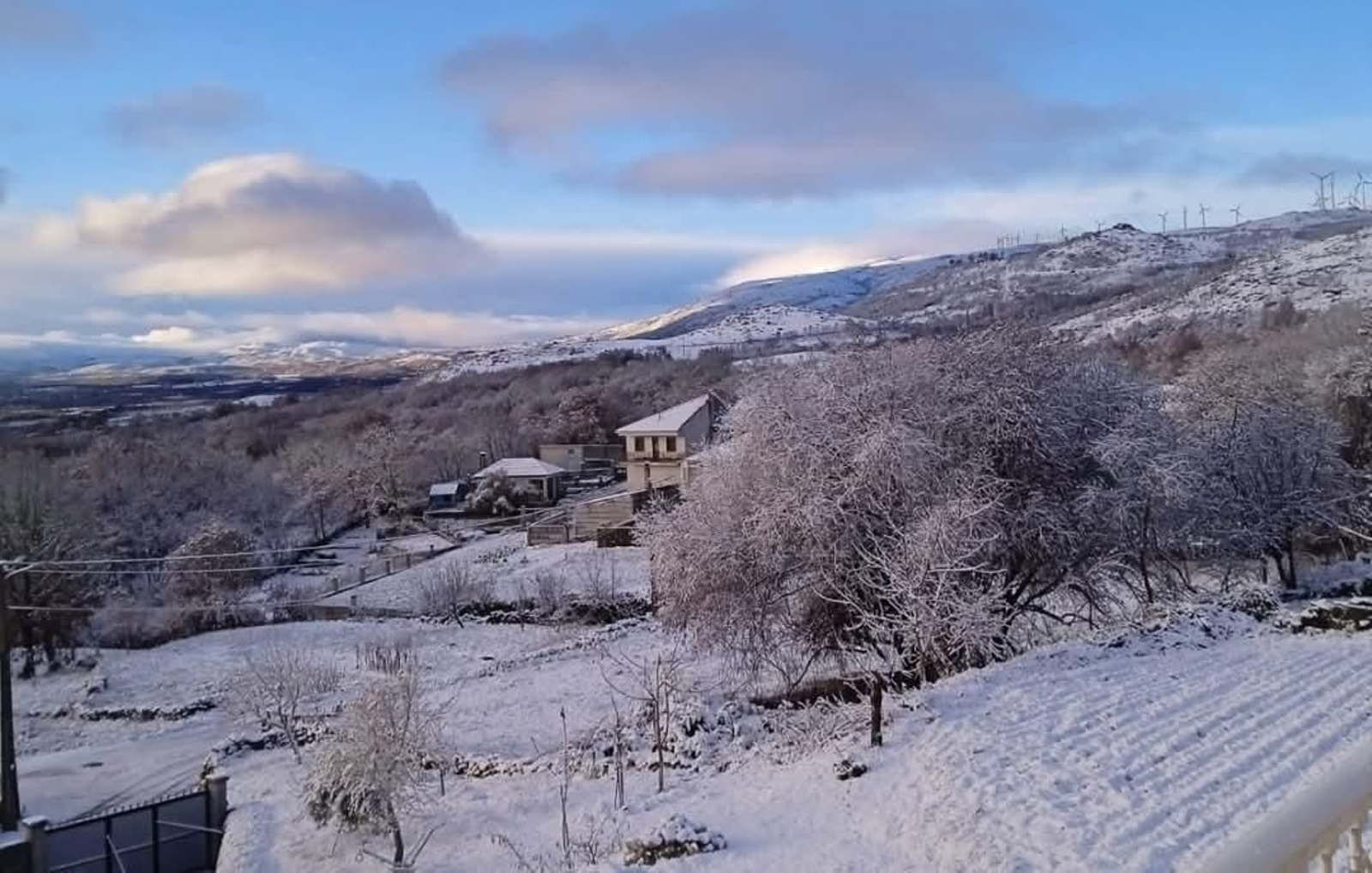 Lucenza (Cualedro) teñida de color blanco