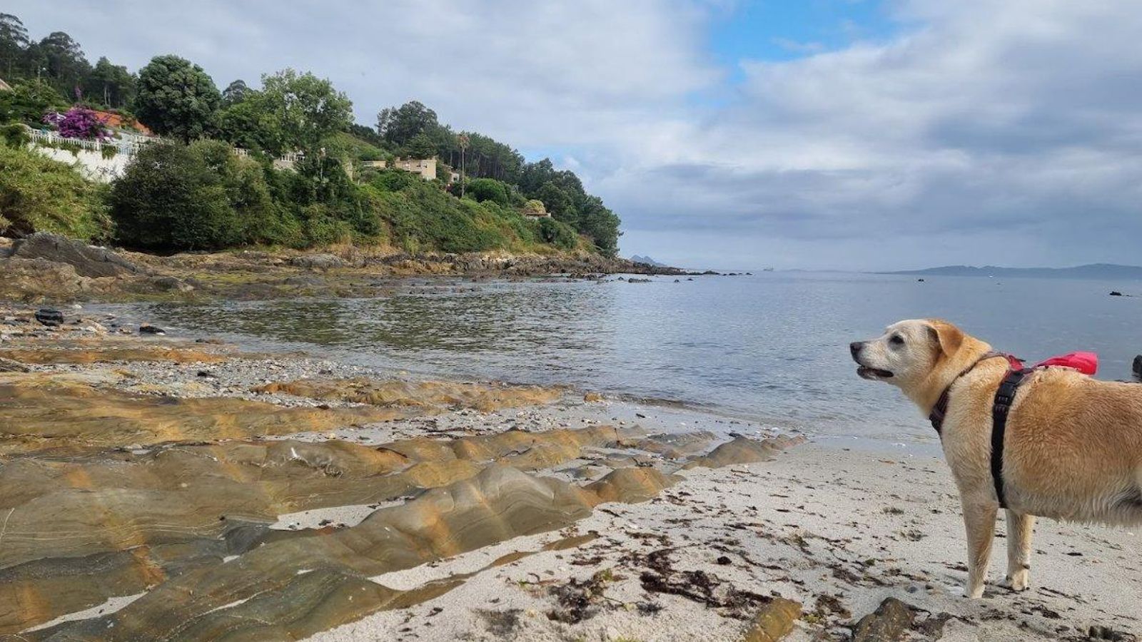 Playa de O Carreiro. // Google Maps