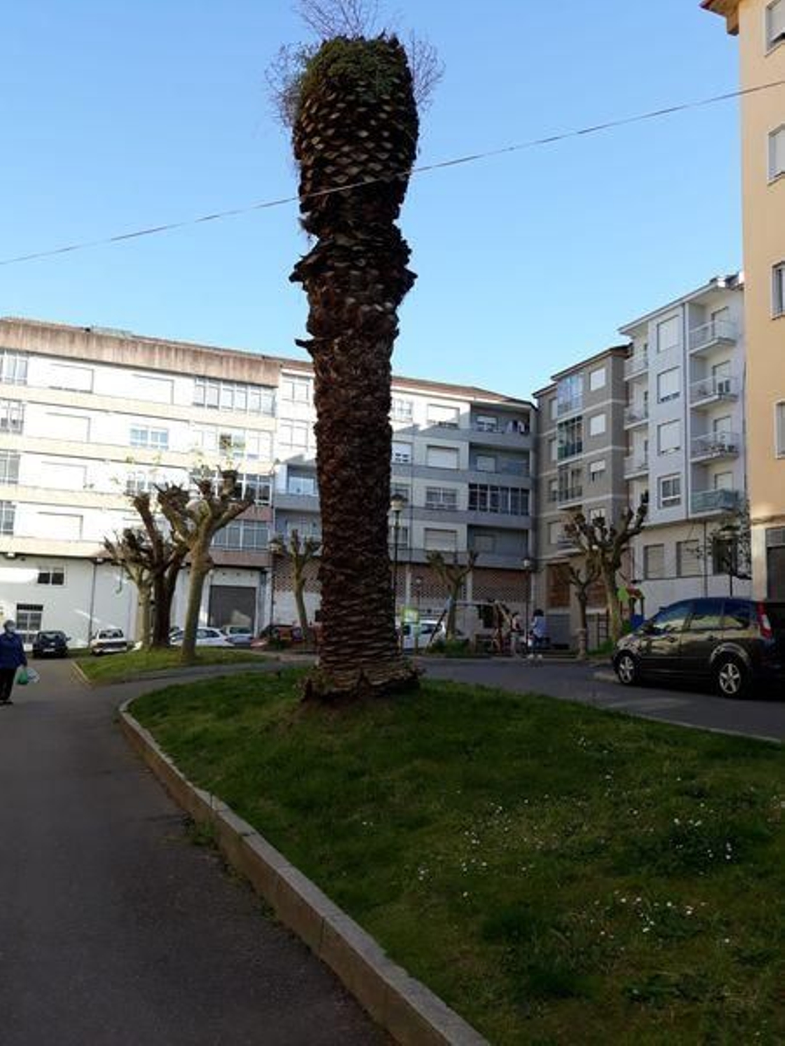 fotodenuncias_24-04-2021_3_resultado