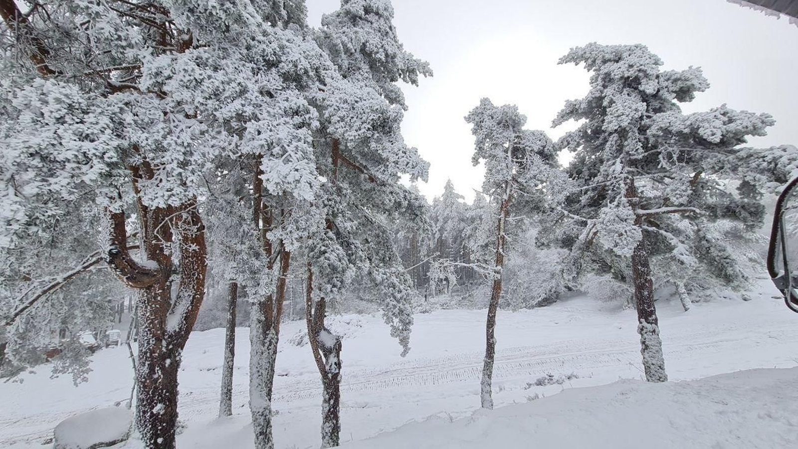 Estampas ahora sí propias del invierno.