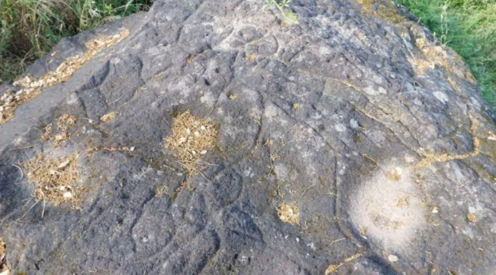 Xeodestino Trevinca-Valdeorras